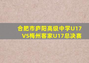 合肥市庐阳高级中学U17VS梅州客家U17总决赛